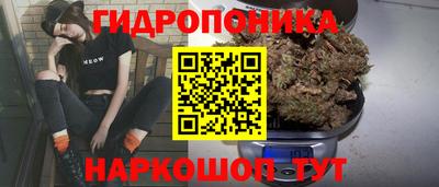 мяу мяу кристалл Гусь-Хрустальный