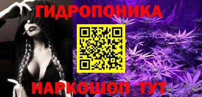 мяу мяу кристалл Гусь-Хрустальный